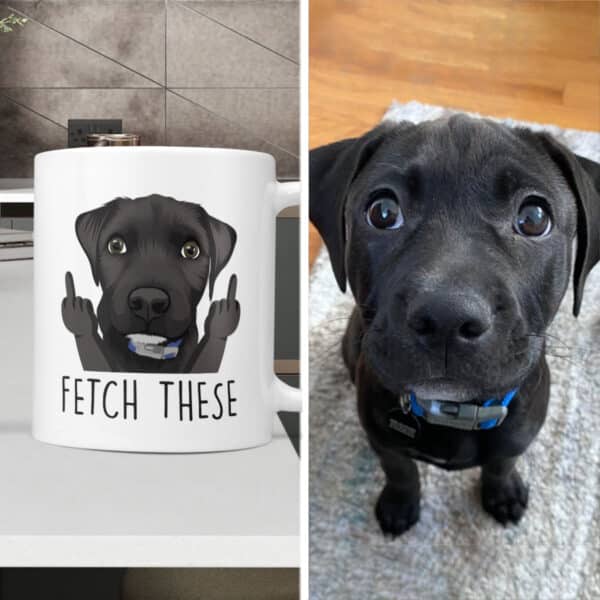 Fetch These Funny Custom Dog Mug 4