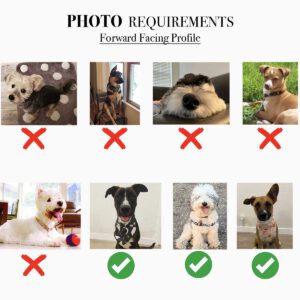 Custom Funny Pet Hand Photo Stickers 1