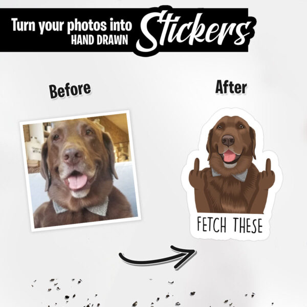 Custom Funny Pet Hand Photo Stickers 2