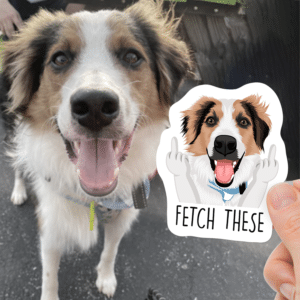 Custom Funny Pet Hand Photo Stickers 5