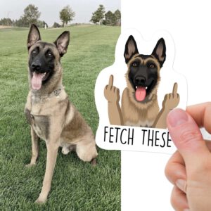 Custom Funny Pet Hand Photo Stickers 6